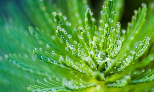 TRANSITION ÉCOLOGIQUE & MOBILITÉS